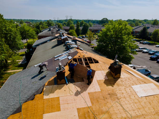 Best Roof Maintenance Services  in Morgans Point Resort, TX